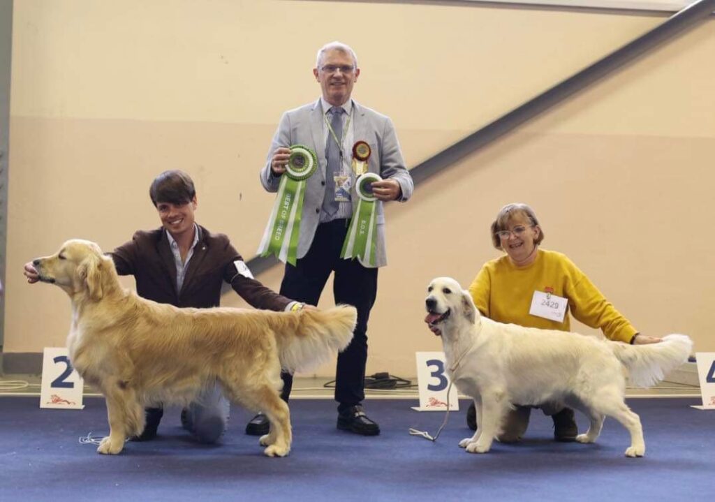 Platinum International Show – EDS Celje’24