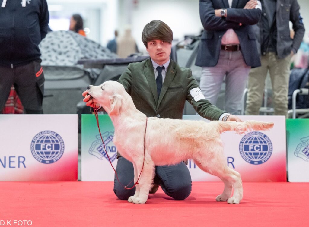 RCI Club Show Enci Winner 2024