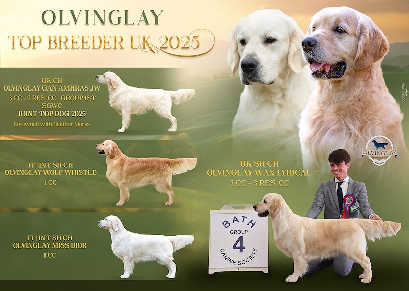 TOP BREEDER UK 2025