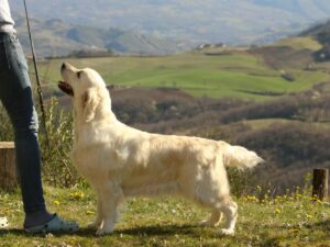 Foto 5 di Xanthos Olvinglay