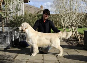 Foto 10 di Angelonato Shakespeare Olvinglay