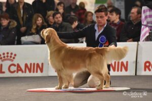 Foto 15 di Il Trovatore della Val d’Aveto