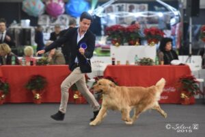 Foto 2 di Il Trovatore della Val d’Aveto