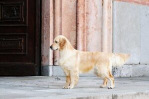 Primavera in Anticipo della Val d’ Aveto