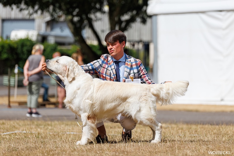 Paignton & District Fanciers Association