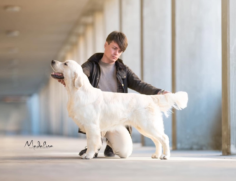 OLVINGLAY DIPLOMAT AT SHIVA’S – Junior italian Champion