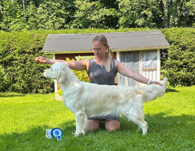 OLVINGLAY FLASHDANCE – Finnish Junior Champion