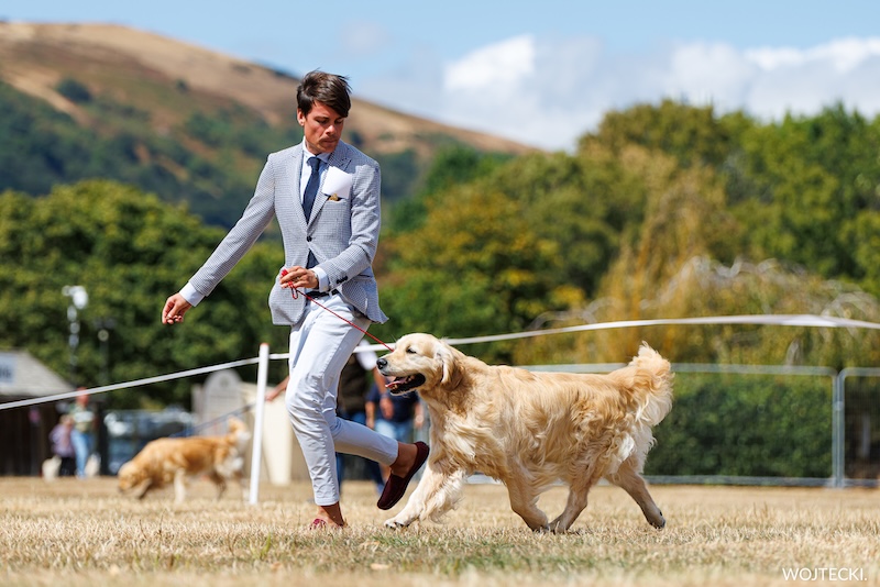 United Retrievers Championship Show