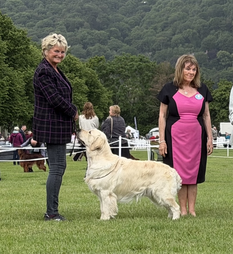 Three Counties Championship Show