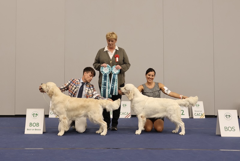 SALZBURG WINNER – CACIB